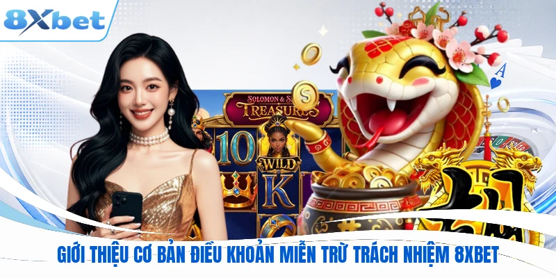 Giới thiệu cơ bản điều khoản miễn trừ trách nhiệm 8XBET