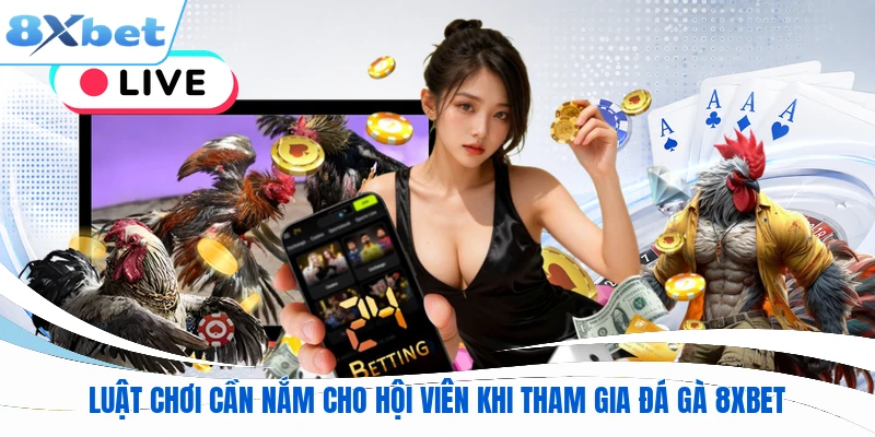 Luật chơi cần nắm cho hội viên khi tham gia đá gà 8XBET